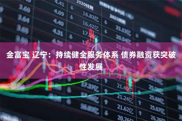 金富宝 辽宁：持续健全服务体系 债券融资获突破性发展